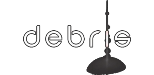 Debris