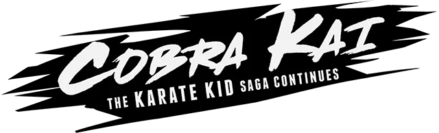 Cobra Kai: The Karate Kid Saga Continues