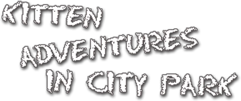 Kitten Adventures in City Park