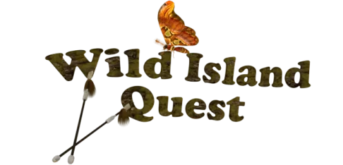 Wild Island Quest