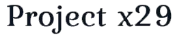 Логотип Project x29