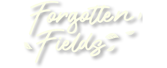 Forgotten Fields