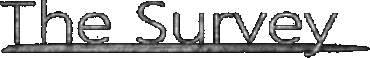 The Survey