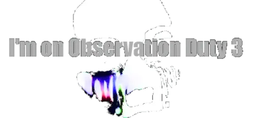I'm on Observation Duty 3