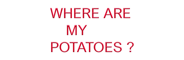 Where are my potatoes?
