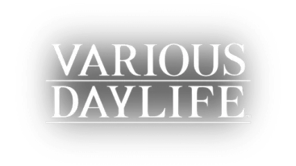 Логотип VARIOUS DAYLIFE