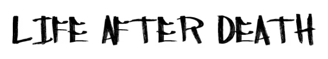 Life after Death