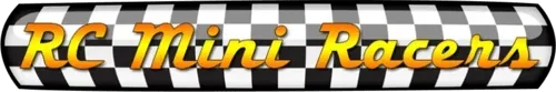 RC Mini Racers