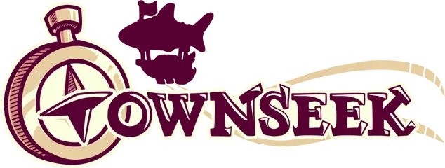 Логотип Townseek