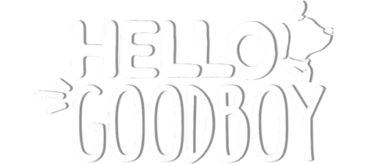 Hello Goodboy