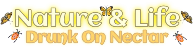 Nature And Life - Drunk On Nectar