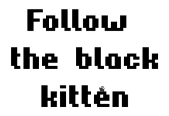 Follow the Black Kitten