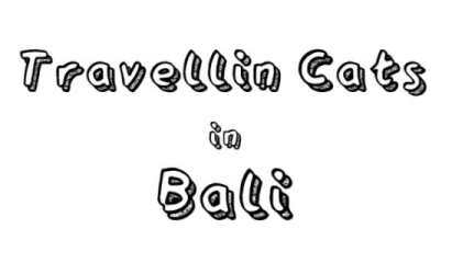 Cats Hidden in Bali