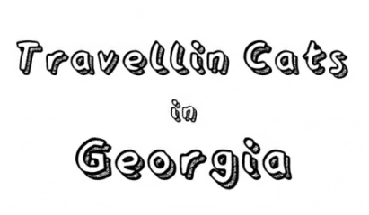 Cats Hidden in Georgia
