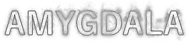 Amygdala