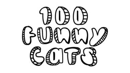 100 Funny Cats