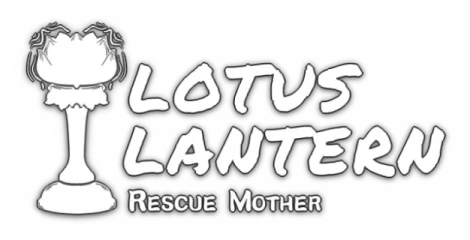 Lotus Lantern: Rescue Mother