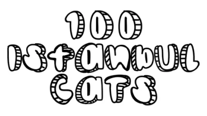 100 Istanbul Cats