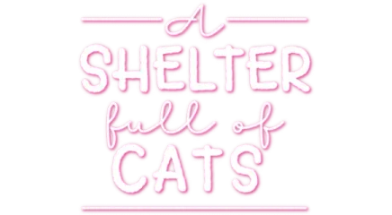 A Shelter Full of Cats