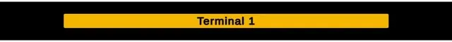 Terminal One