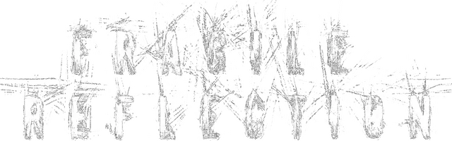 Fragile Reflection
