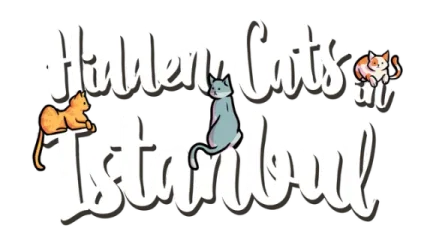 Hidden Cats in Istanbul
