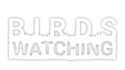 Birds Watching