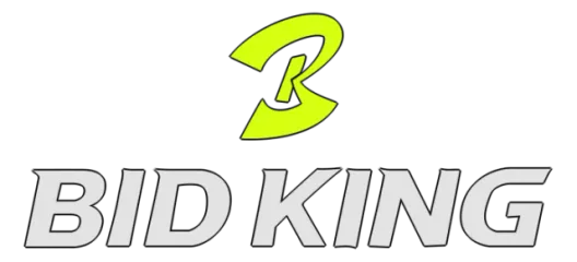 Логотип BidKing