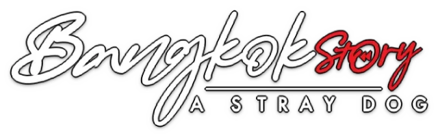 Bangkok Story: A Stray Dog