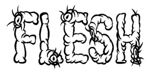 Flesh (bullet hell)