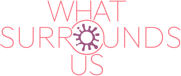 What Surrounds Us