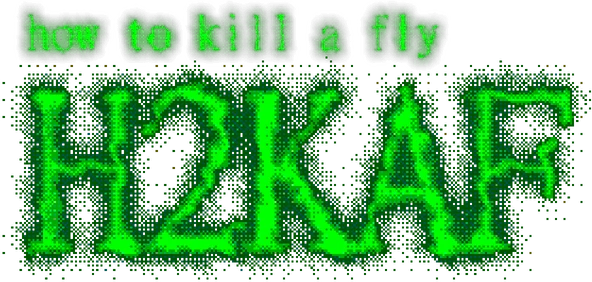 how to kill a fly H2KAF
