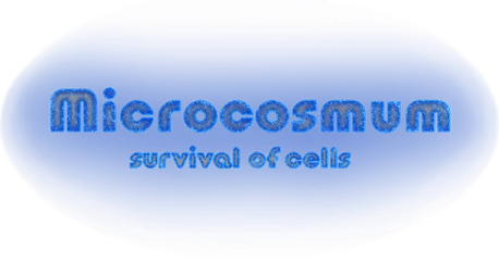 Microcosmum: survival of cells