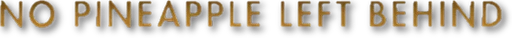 Логотип No Pineapple Left Behind
