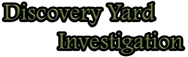 Discovery Yard Investigation